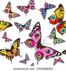 pattern beautiful color butterflies set