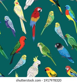 Pattern with beautiful parrots. Birds green background Vector Illustration. 