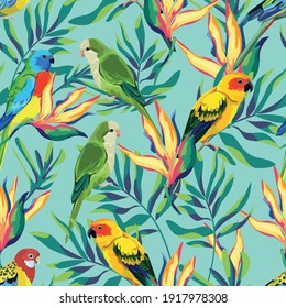 Pattern with beautiful parrots and tropical leaves. Birds background Vector Illustration. 