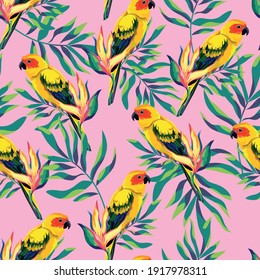 Pattern with beautiful parrots and tropical leaves. Birds background Vector Illustration. 