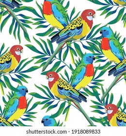 Patrón con hermosos loros y hojas tropicales. Ilustración de vectores de fondo de aves. 