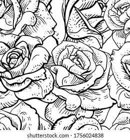 Pattern with beautiful roses, black and white line art background, 
macro illustration