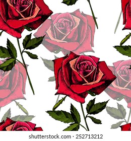 pattern with beautiful roses on a white background (hand draw). vector.