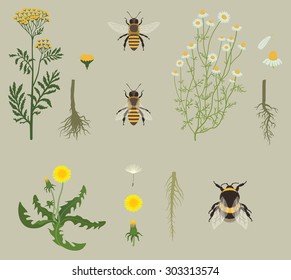 Pattern with Bees and Yellow Flowers