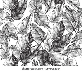 Pattern with big leaves in black and white