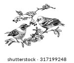 Pattern with birds on twigs, black and white illustration, vector