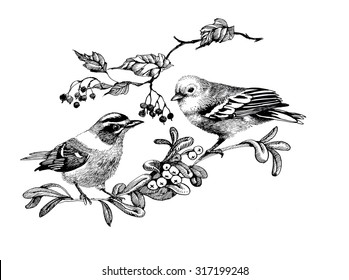 Pattern with birds on twigs, black and white illustration, vector