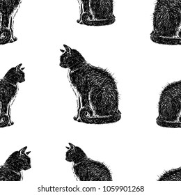 pattern of the black sitting cats