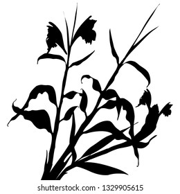 Pattern with black tropical leaves and flowers silhouette shadow isolated on white background. Vintage fabric textile, fashion summer print design, exotic poster. Vector illustrations
