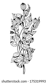 Pattern of black and white poppies