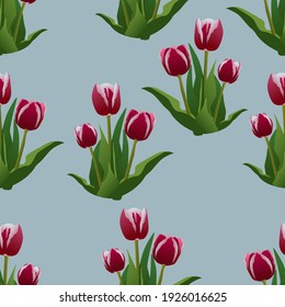 Pattern of a bouquet of red tulips on a gray background. Vector illustration. Suitable for printing on fabric and website design
