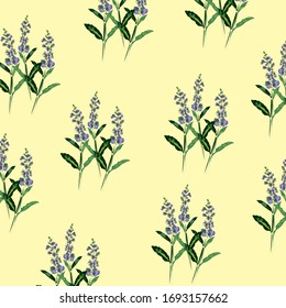 Pattern with bouquet of sage. Botanical pattern of clover in the style of the sketch. Yellow background