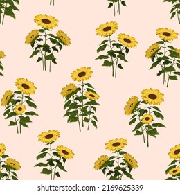 Pattern of bouquets of sunflowers.Seamless vector pattern with sunflowers on a colored background.