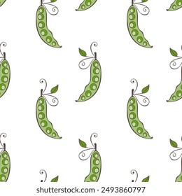 Pattern with branch of green Pea pods doodle , on white background.