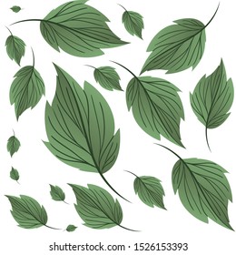 pattern of branch and leaf icon vector illustration design