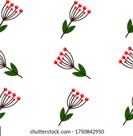 pattern. branch with red berries. vector illustration