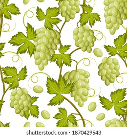 Pattern with branches of grapes.Bunches of grapes on a white background in a colored pattern.
