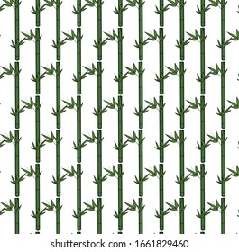 Pattern with branches and leaves of green bamboo