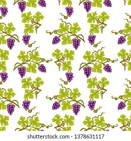 Pattern of branches of ripe vine