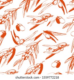 Pattern with branches of sea buckthorn, orange sea buckthorn. Natural tea with sea buckthorn, a healthy, natural organic product. Sea buckthorn background on a white isolate. Design packaging