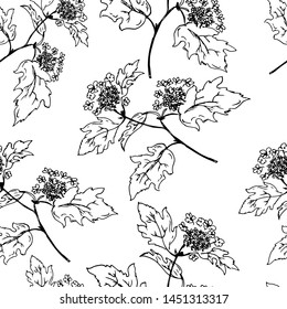 The pattern of branches of viburnum. Line drawing. Vector illustration.