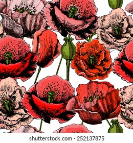 pattern with bright colorful poppies. Hand drawing, vector.