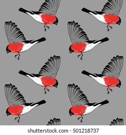 Pattern with bullfinch.