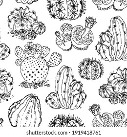 Pattern Cacti and succulents, indoor flowers in pots. Home decor. Vector line sketch