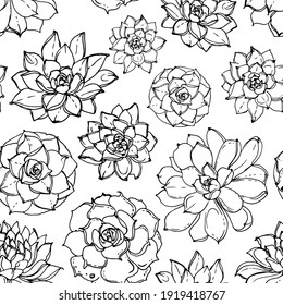 Pattern Cacti and succulents, indoor flowers in pots. Home decor. Vector line sketch