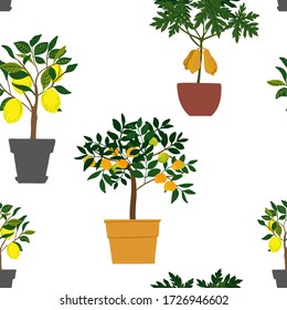 Pattern Cacti and succulents. Indoor plants and flowers in pots. Landscaping at home. Decor for the apartment and garden. 