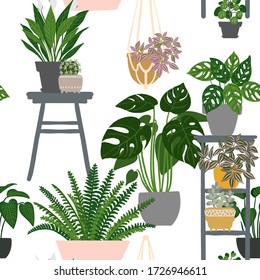 Pattern Cacti and succulents. Indoor plants and flowers in pots. Landscaping at home. Decor for the apartment and garden. 