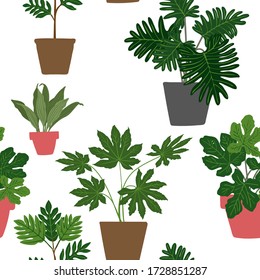 Pattern Cacti and succulents. Indoor plants and flowers in pots. Landscaping at home. Decor for the apartment and garden. 