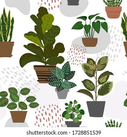 Pattern Cacti and succulents. Indoor plants and flowers in pots. Landscaping at home. Decor for the apartment and garden. 
