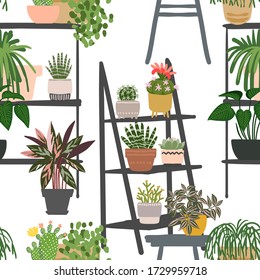 Pattern Cacti and succulents. Indoor plants and flowers in pots. Landscaping at home. Decor for the apartment and garden. 