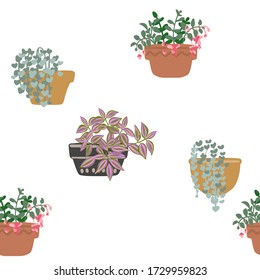 Pattern Cacti and succulents. Indoor plants and flowers in pots. Landscaping at home. Decor for the apartment and garden. 