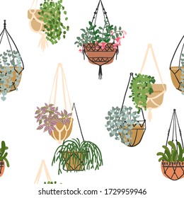 Pattern Cacti and succulents. Indoor plants and flowers in pots. Landscaping at home. Decor for the apartment and garden. 