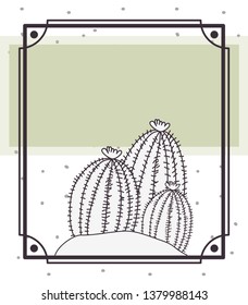 pattern cactus in frame isolated icon