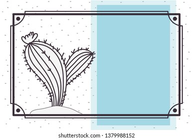 pattern cactus in frame isolated icon