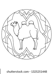 Pattern with a camell. Illustration with a camell. Mandala with an animal.  Bactrian camell in a circular frame. Coloring page for kids and adults.