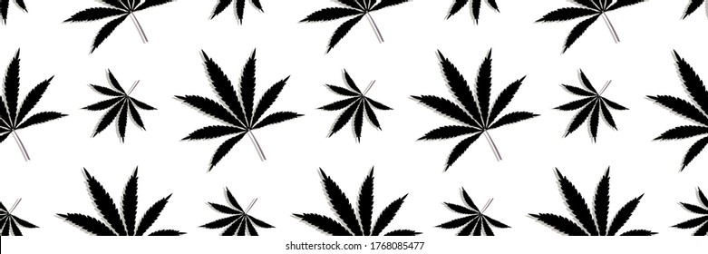 Patrón con hojas de cannabis, plantas de marihuana diseño de fondo vectorial sin fisuras