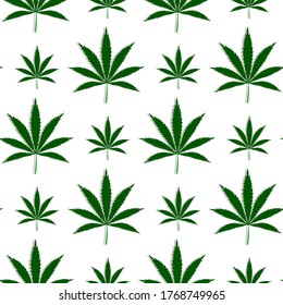 Patrón con hojas de cannabis, plantas de marihuana diseño de fondo vectorial sin costura floral