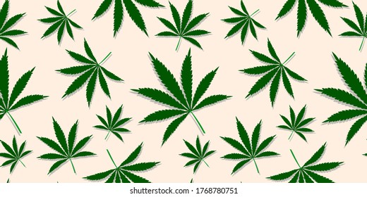 Patrón con hojas de cannabis, plantas de marihuana diseño de fondo vectorial sin costura floral