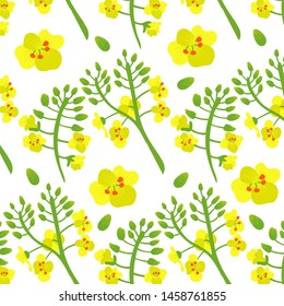 Pattern Canola rapeseed flower. Yellow and green background of flowers. Vector editable file eps 10