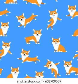 Pattern cartoon dogs breed Corgi in a flat style on blue background