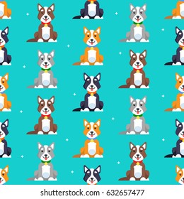 Pattern cartoon dogs breed Labrador of different colors in a flat style