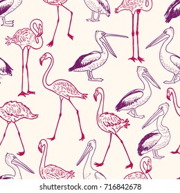 pattern of the cartoon pelicans and flamingos