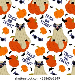 The pattern of a cat in a sheet and glasses for Halloween is depicted on a pumpkin on a white. A black cat with blue glasses and bats and pumpkins. Flat vector illustration. Text trick or treat
