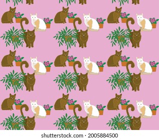 Pattern with cats and indoor flowers