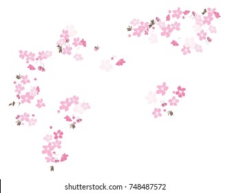 Pattern of Cherry blossom, Coloring book sakura flower isolate on white background.Peach blossom vector set.