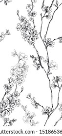 Pattern with cherry tree branch with small flowers on white background